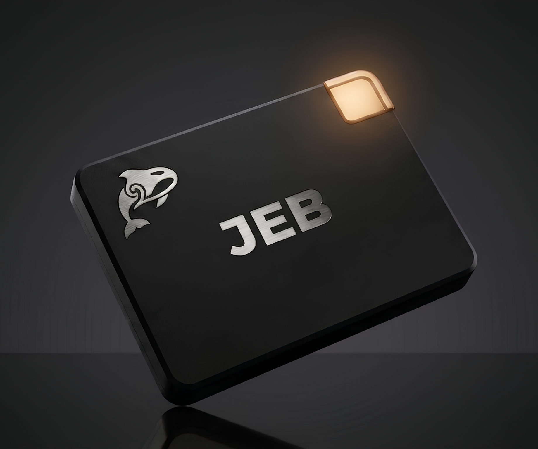 JEB SSD GOLD 2000GB